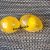 Collagen Egg Yolk Whitening Face Soap x 2